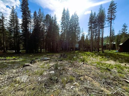 7248 Sierra Pines Road, Twin Bridges, CA 95735 Photo