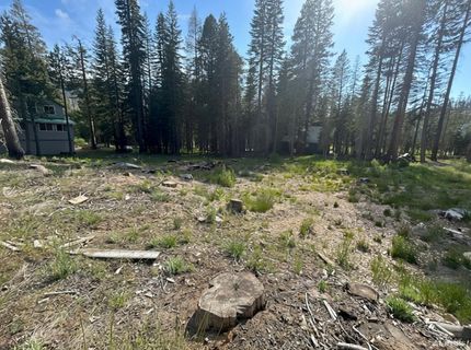 7248 Sierra Pines Road, Twin Bridges, CA 95735 Photo