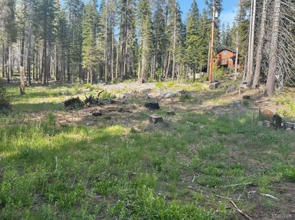 7248 Sierra Pines Road, Twin Bridges, CA 95735 Photo