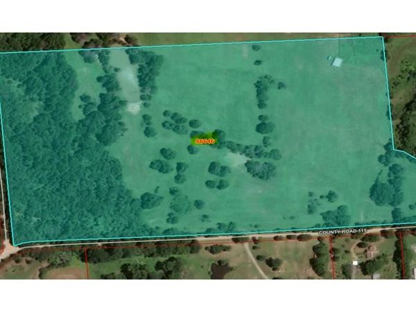 157 ac CR 1150 , Ravenna, TX 75418