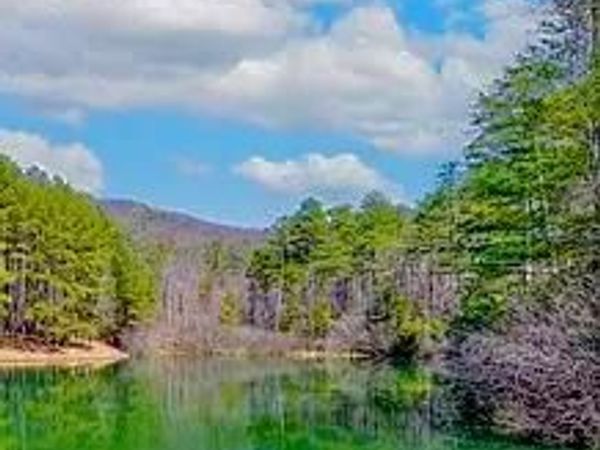00 Golden Delicious Road, Clarkesville, GA 30523