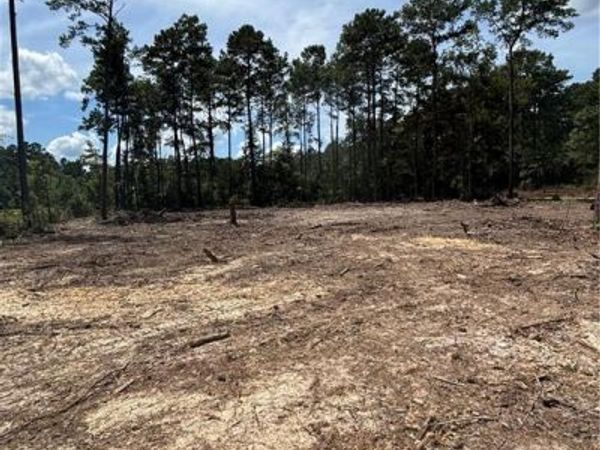 32061 PEA RIDGE Road, Albany, LA 70711
