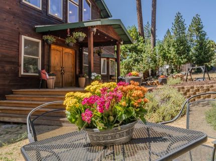 18150 Acorn Ct, Pioneer, CA 95666 Photo