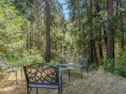 18150 Acorn Ct, Pioneer, CA 95666 Photo