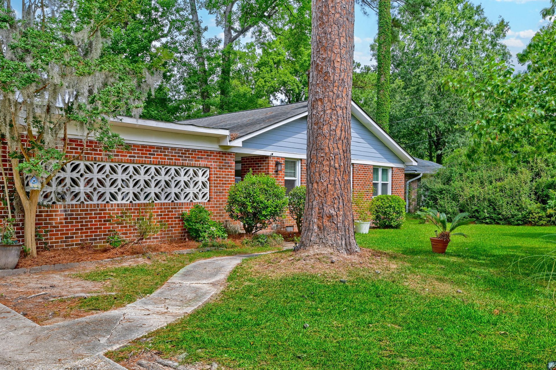 843 Trent Street Photo 11