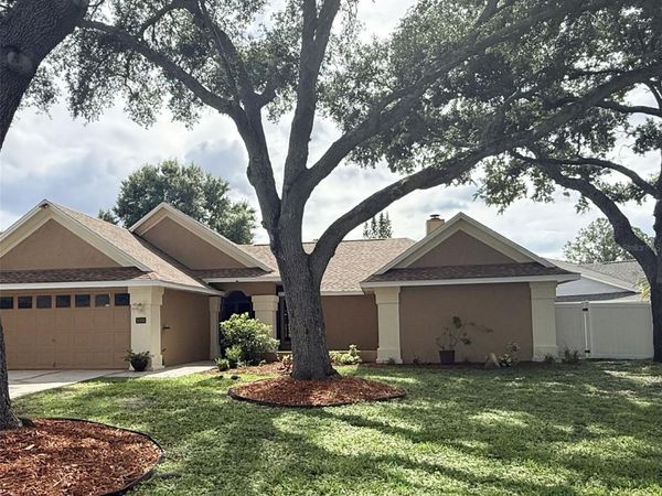 18306 FELSPAR WAY, TAMPA, FL 33647