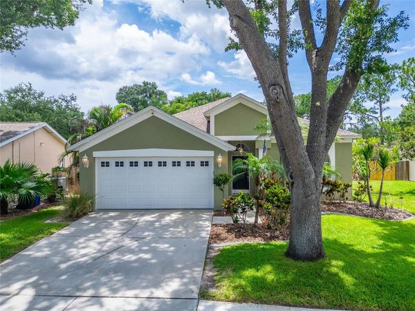11514 WELLMAN DRIVE , RIVERVIEW, FL 33578