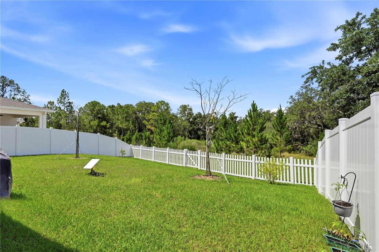 4005 Swan Goose Court , Okahumpka, FL 34762 Photo