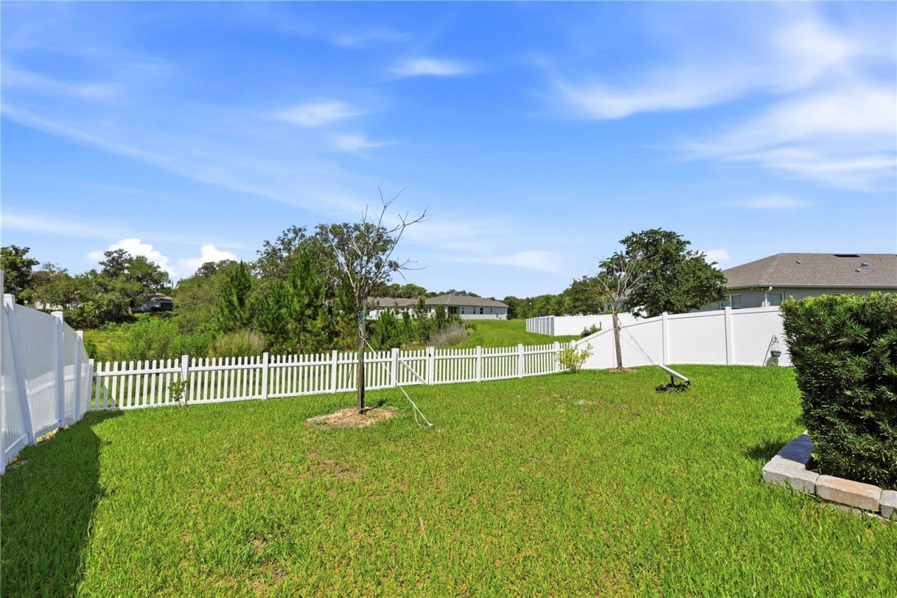 4005 Swan Goose Court , Okahumpka, FL 34762 Photo