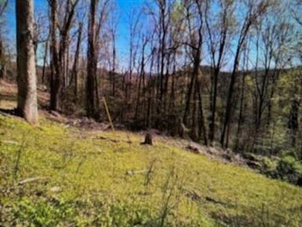 Esslinger Dr & Low Gap Rd , Gatlinburg, TN 37738
