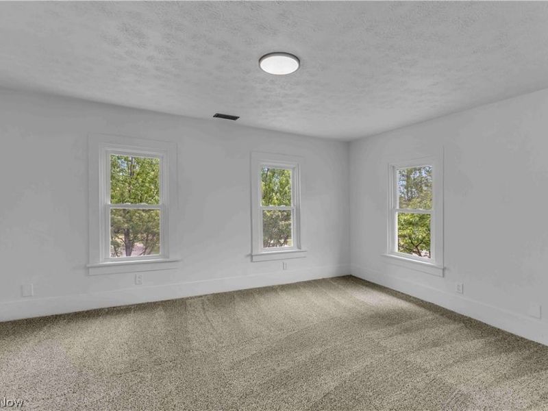 137 N Vine Street, Medina, OH 44256 Photo 16