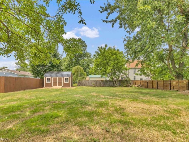 137 N Vine Street, Medina, OH 44256 Photo 4
