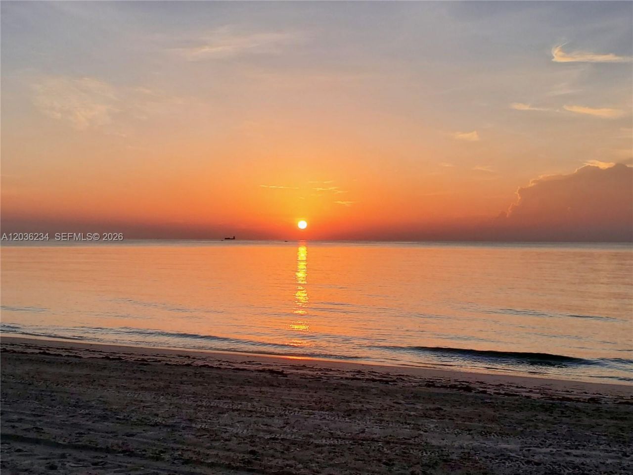 741 Tyler St, Hollywood, FL 33019 Photo