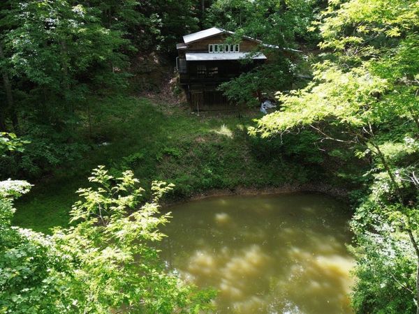 281 Eclipse Ln, Arbovale, WV 24915