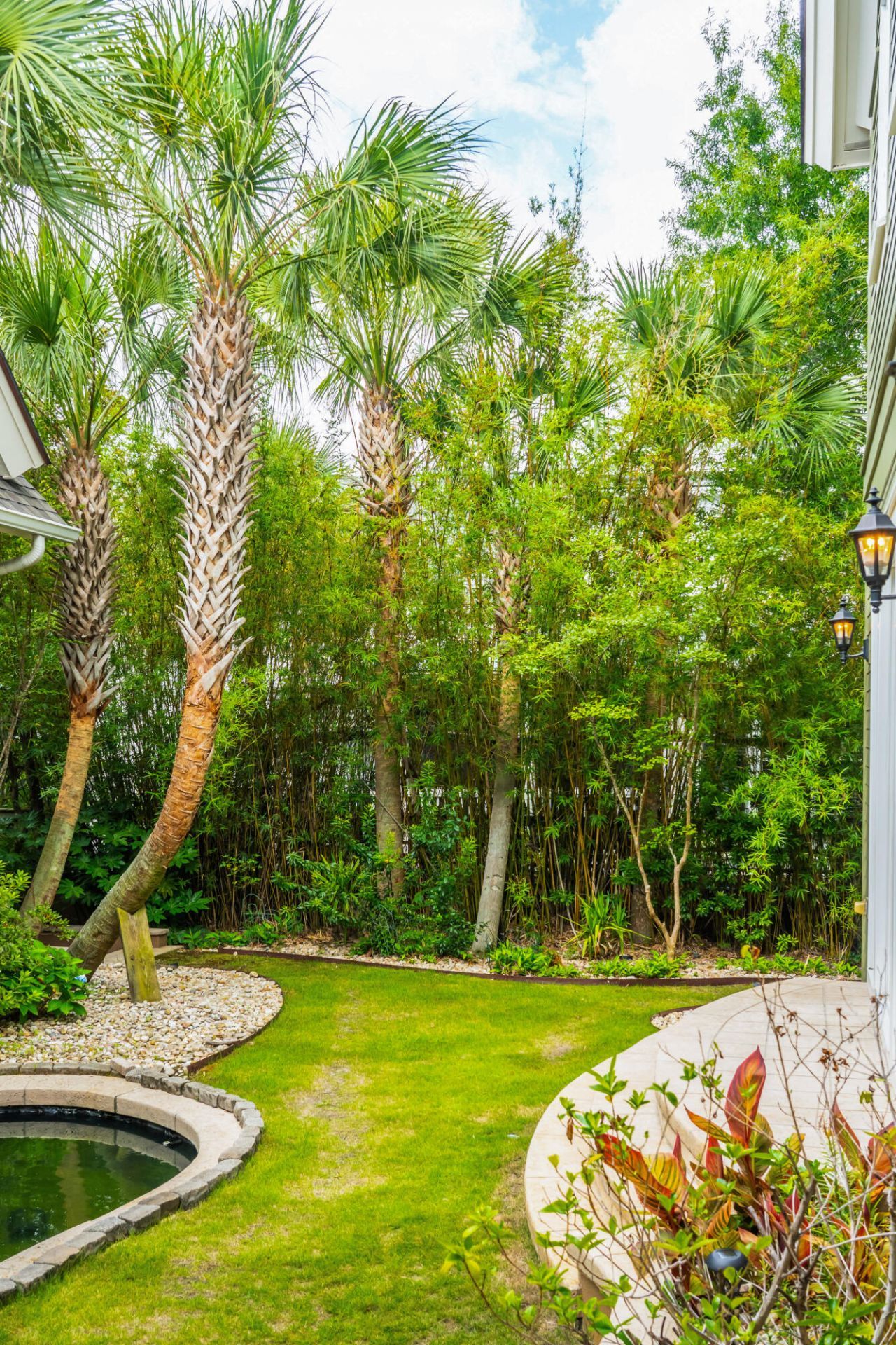 67 Delahow Street Photo 102