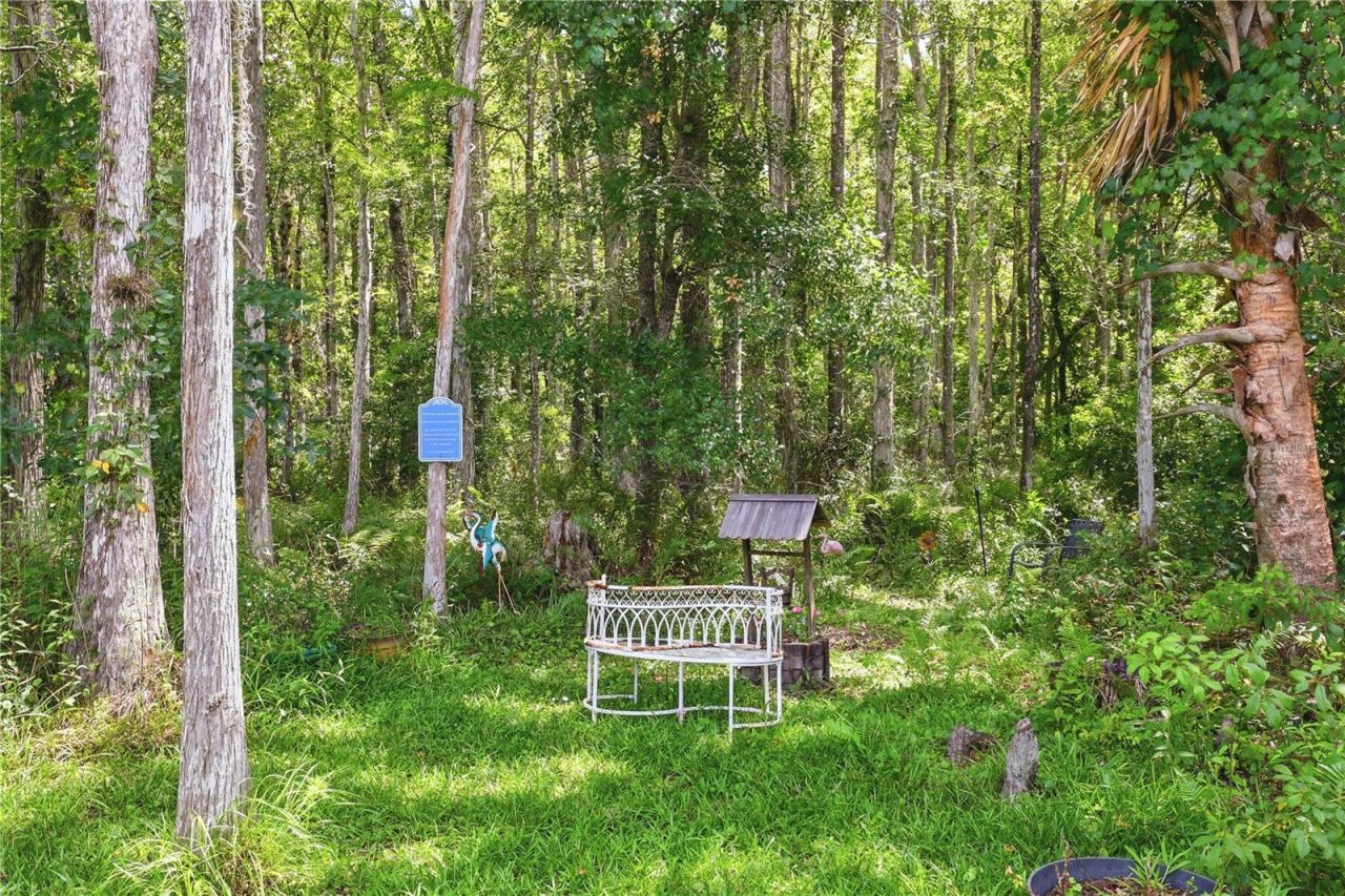 19113 Quinlan St , Orlando, FL 32833 Photo