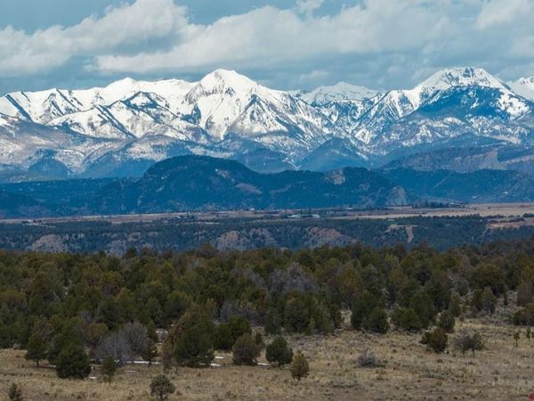 2007 CR 318, Ignacio, CO 81137