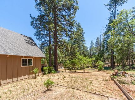 8370 Grizzly Flat Rd, Somerset, CA 95684 Photo