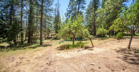 8370 Grizzly Flat Rd, Somerset, CA 95684 Photo