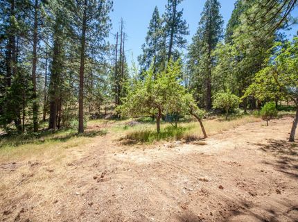 8370 Grizzly Flat Rd, Somerset, CA 95684 Photo