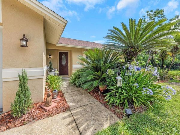2437 HAWK AVENUE, PALM HARBOR, FL 34683