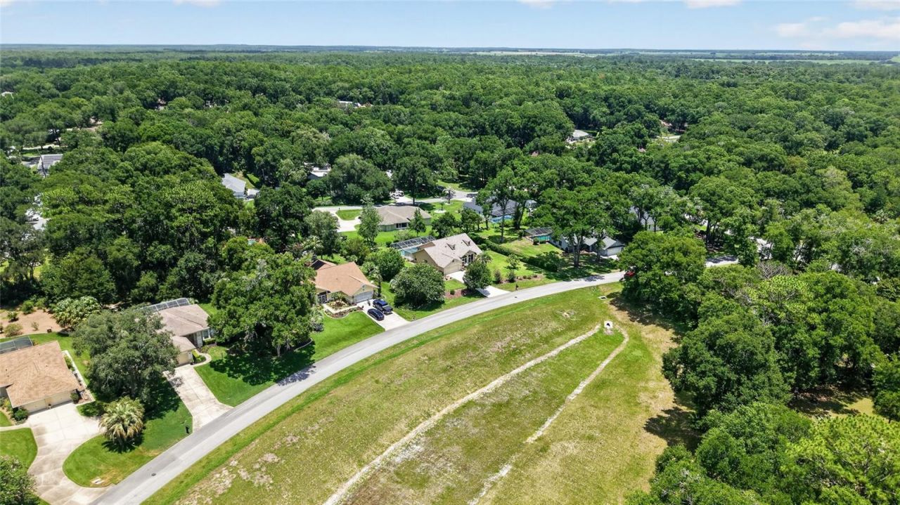 19025 SW 98th Loop, Dunnellon, FL 34432 Photo