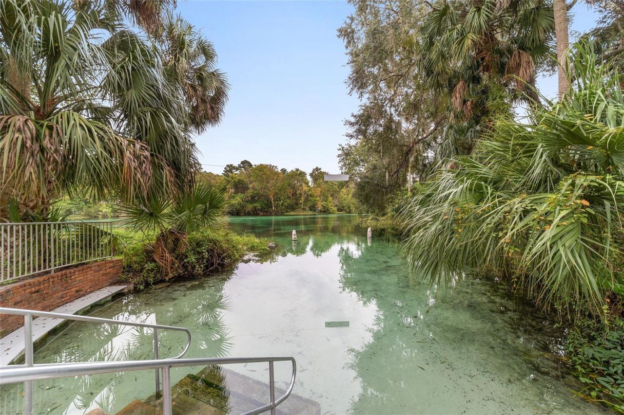 19025 SW 98th Loop, Dunnellon, FL 34432 Photo