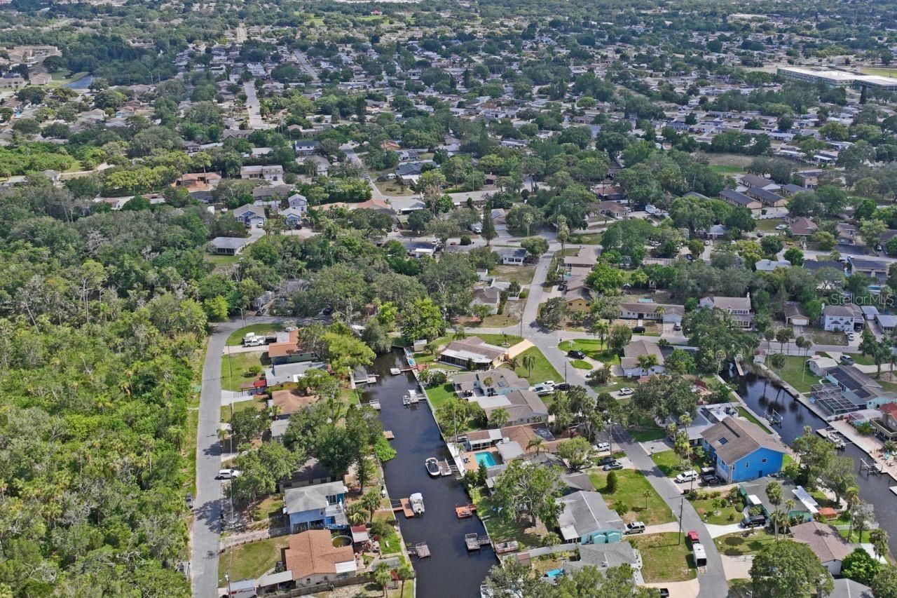 6245 Warren Ave, New Port Richey, FL 34653 Photo