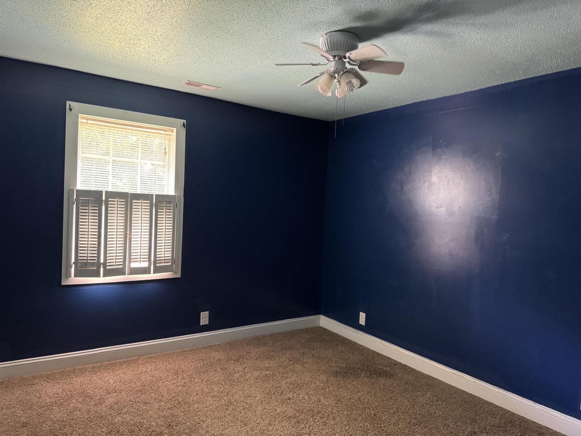 98 Wolf Dr. Photo 19