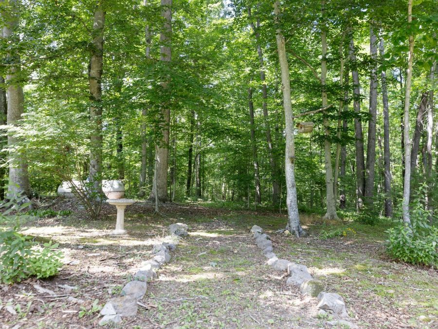 Property Image 53