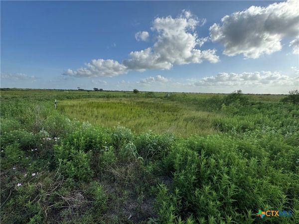 000 County Road 18 61.46 Acres Tract 2 & 3, Hallettsville, TX 77964