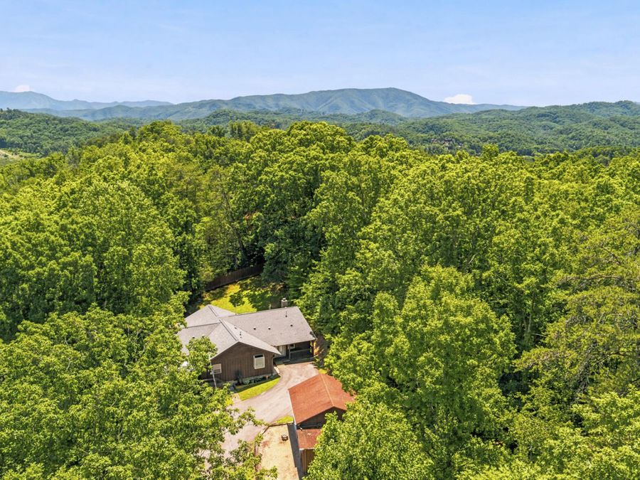Property Image 41