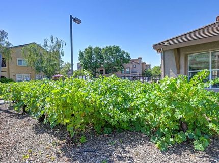 5350 Dunlay Dr #3016, Unit 3016, Sacramento, CA 95835 Photo