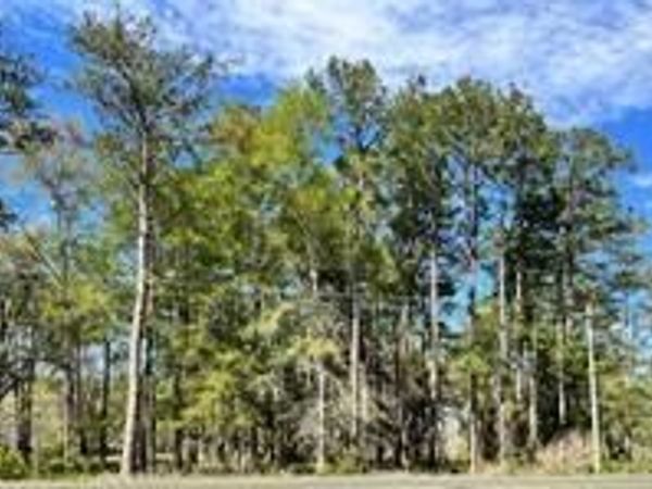 HIGHWAY 1088 Highway, Mandeville, LA 70448