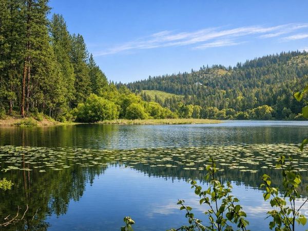 15798 N Sportsman Park Rd, Hayden, ID 83835