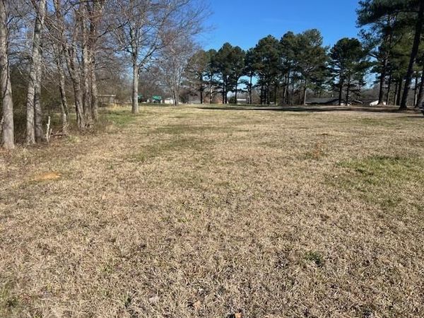 00 BLACK PLACE/BRAMBLEWOOD DR, Savannah, TN 38372