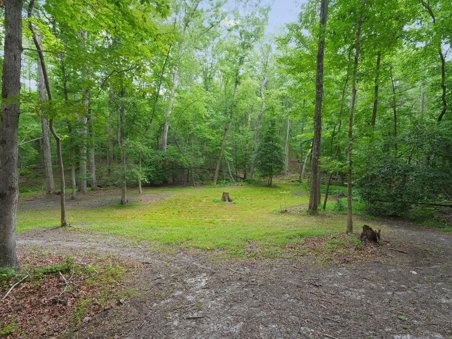 Property Image 59