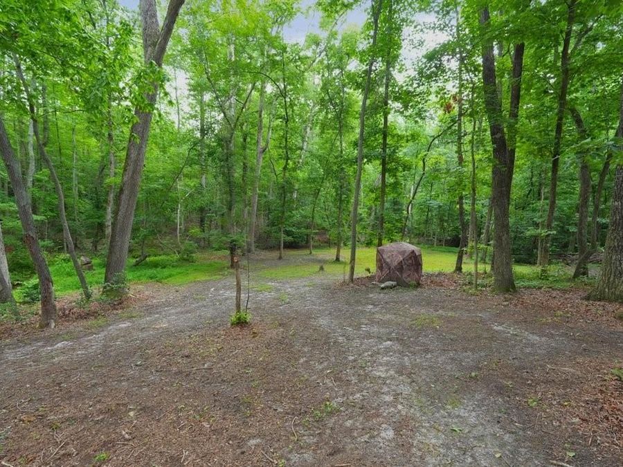 Property Image 60