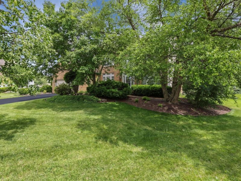 4164 Mack Court, Powell, OH 43065 Photo 5