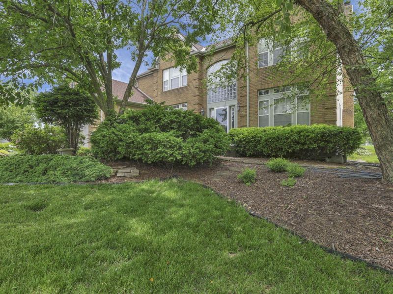 4164 Mack Court, Powell, OH 43065 Photo 6