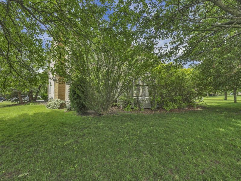 4164 Mack Court, Powell, OH 43065 Photo 67