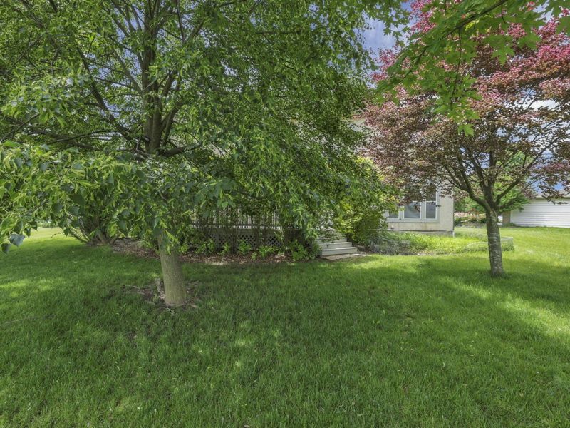4164 Mack Court, Powell, OH 43065 Photo 68
