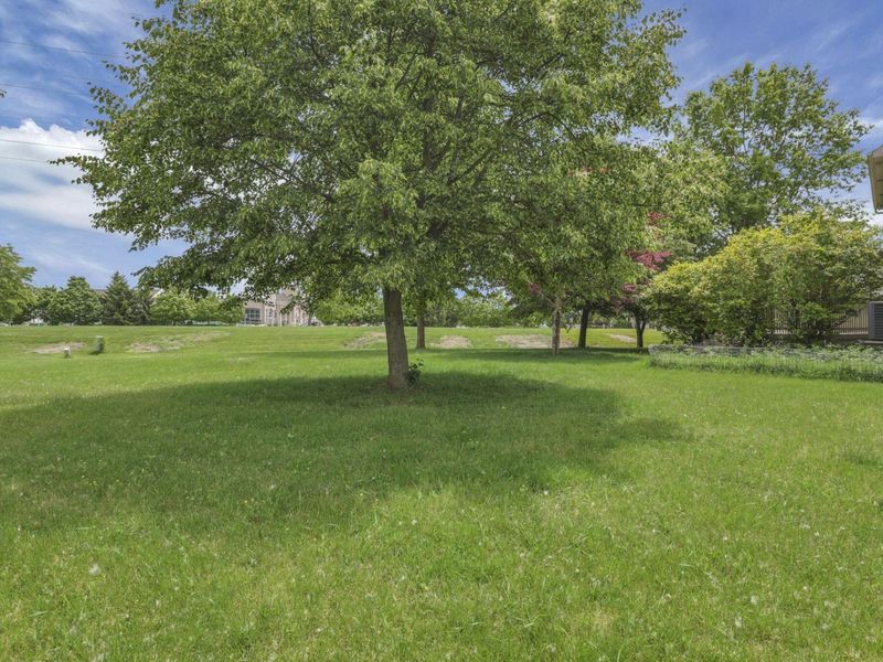 4164 Mack Court, Powell, OH 43065 Photo 69