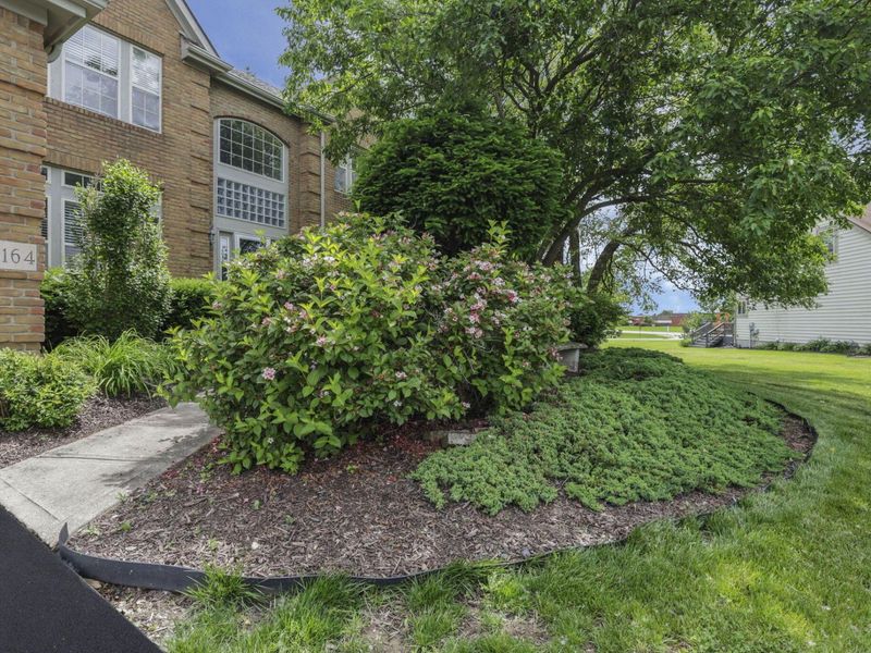 4164 Mack Court, Powell, OH 43065 Photo 7