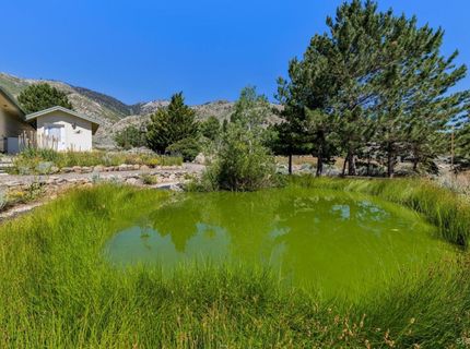 295 Nevada Road, Markleeville, CA 96120 Photo