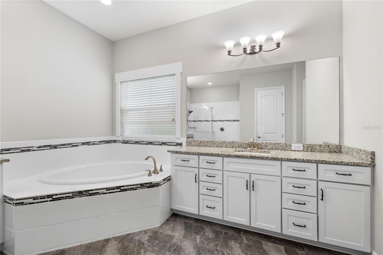 19520 Hayden Lake Court, Land O Lakes, FL 34638 Photo
