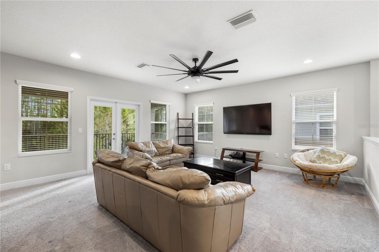 19520 Hayden Lake Court, Land O Lakes, FL 34638 Photo