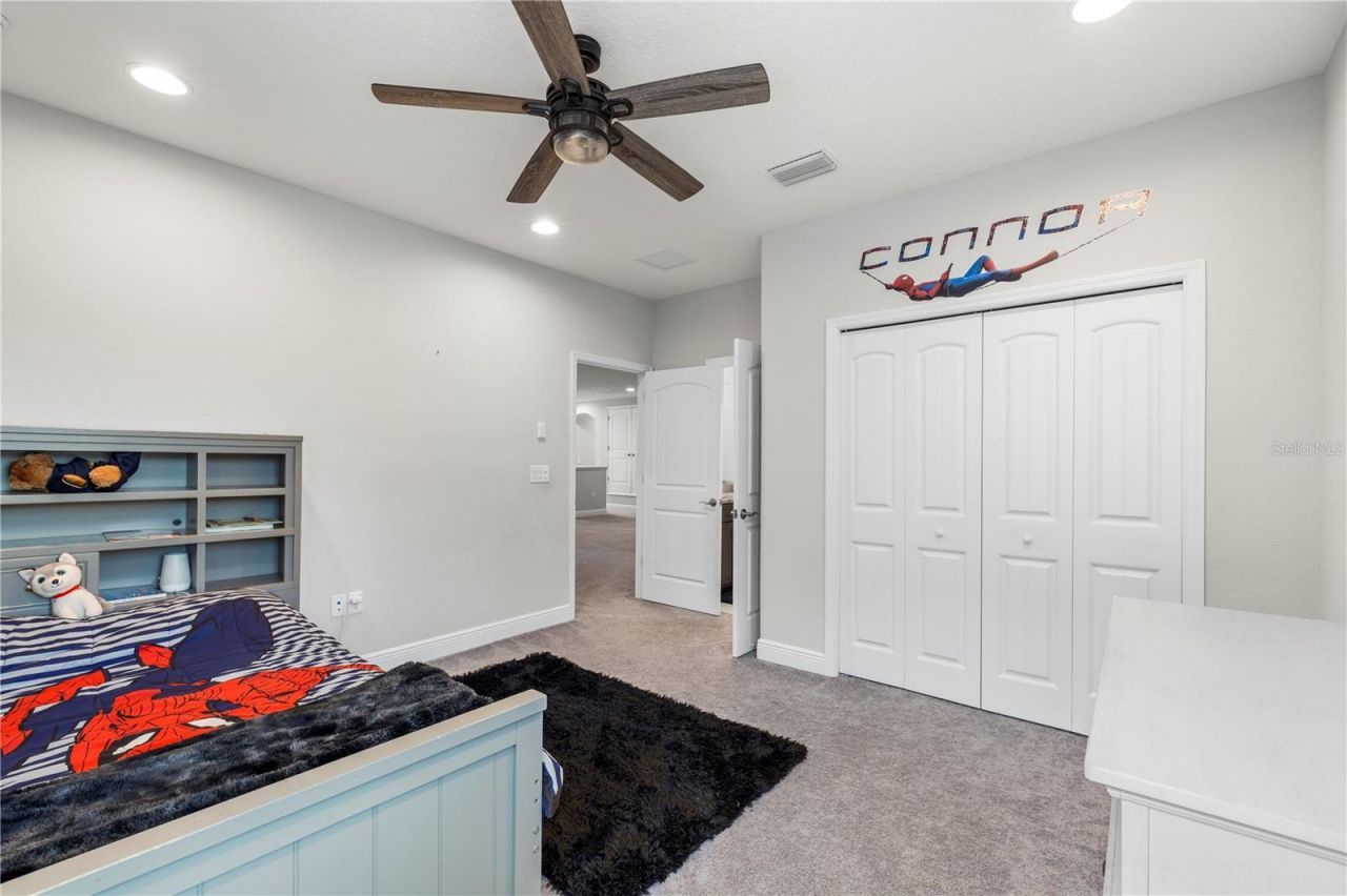 19520 Hayden Lake Court, Land O Lakes, FL 34638 Photo
