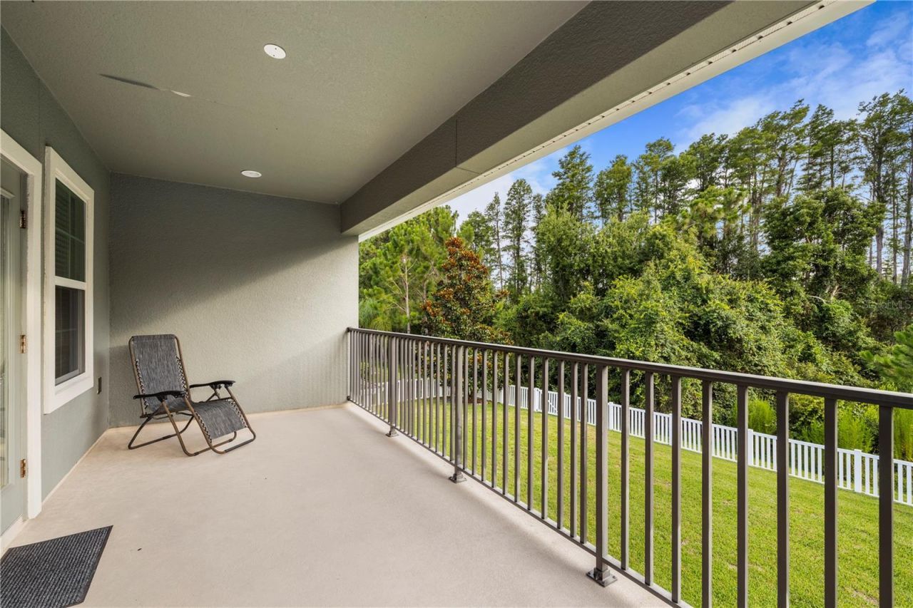 19520 Hayden Lake Court, Land O Lakes, FL 34638 Photo