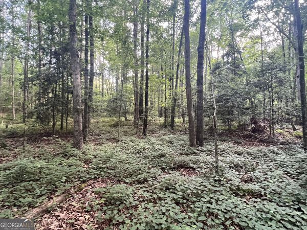 0 Craft Ferry Drive, Elberton, GA 30635
